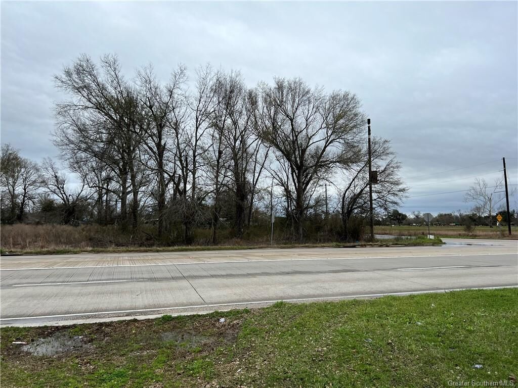 Property Photo: 0 Common Street LA 70607