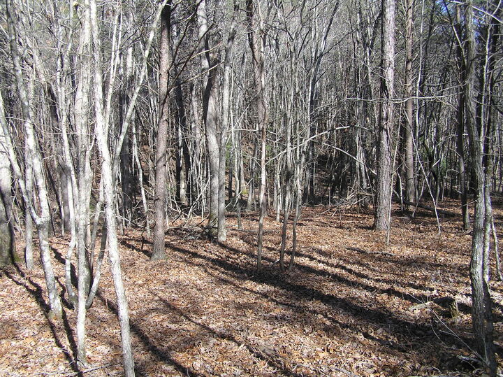 Property Photo: 150 Indian Trail Drive TN 38585