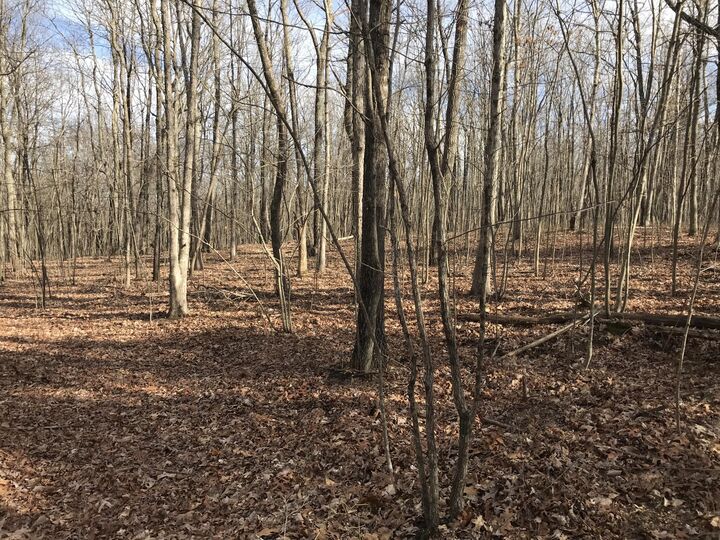 Property Photo: 0 Greenfields Way N TN 37327