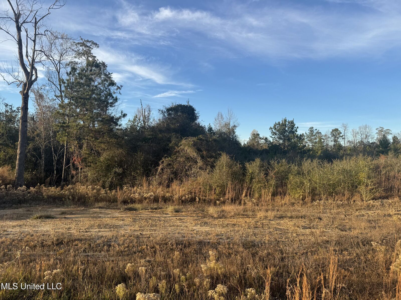 Property Photo:  8 Acres Parker Road  MS 39561 