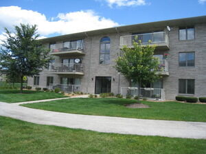 Property Photo:  1041 Ashley Court 2D  IL 60441 