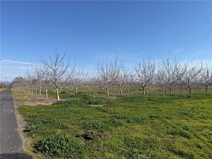 Property Photo: 0 McFadden Lane CA 95928