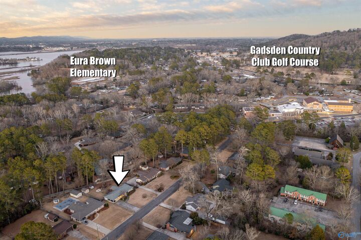 Property Photo:  217 Brookhaven Drive  AL 35901 