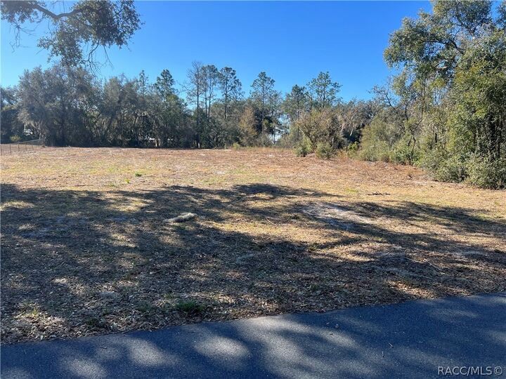 Property Photo: 9808 Granada Court FL 34450