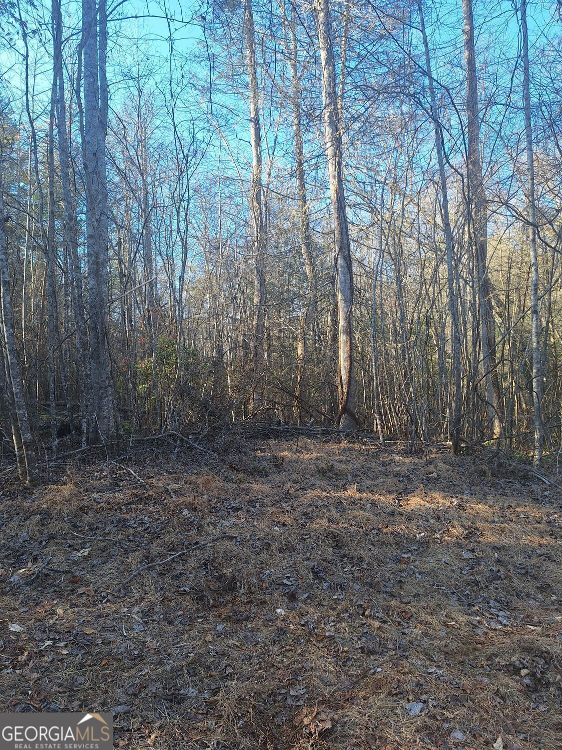 Property Photo:  0 Bent Wood Lane  GA 30513 
