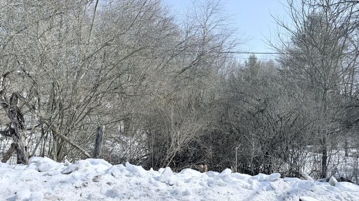 Property Photo:  Vago Rd  WV 24938 