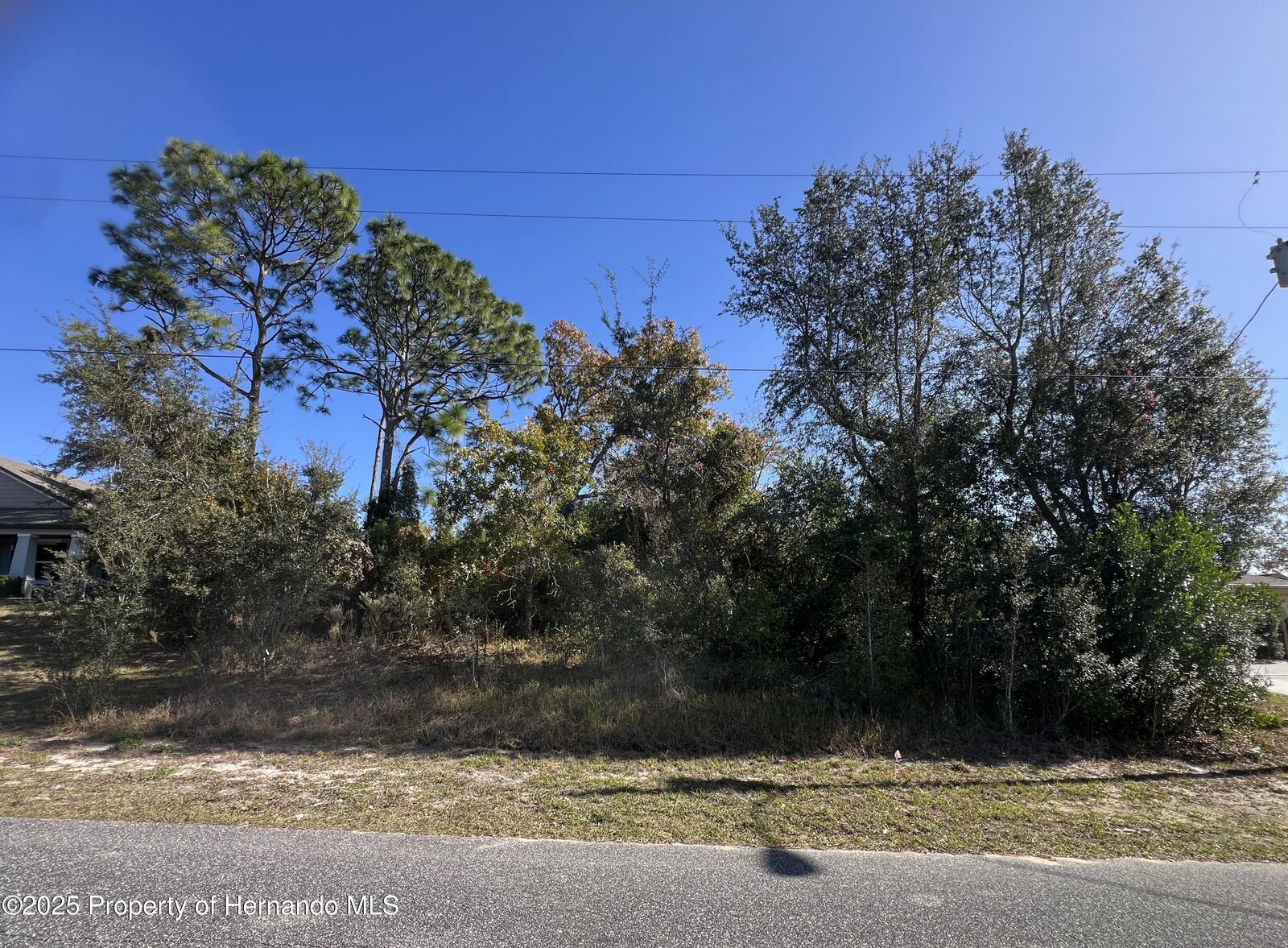 Property Photo:  0 Matheson Avenue  FL 34608 
