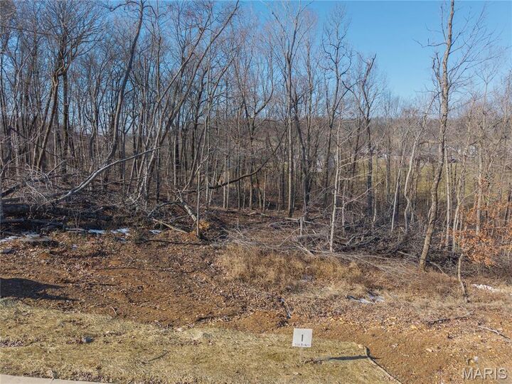 Property Photo: Lot 1 Heritage Farm Lane MO 63755