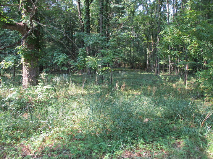 Property Photo:  105th Avenue  MI 49450 