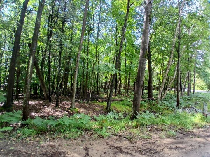 Property Photo:  Range Street  MI 49436 