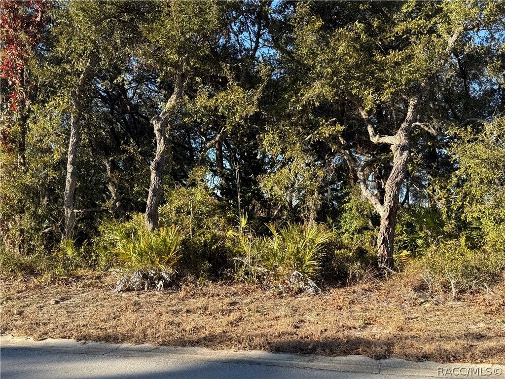 Property Photo: 7023 W Merrivale Lane FL 34446