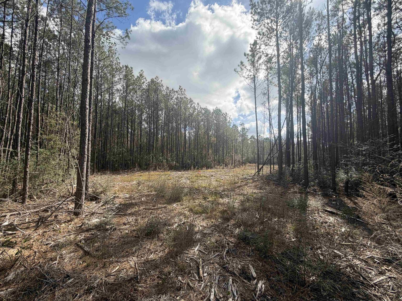 Property Photo:  Tbd Cr 721  TX 77612 