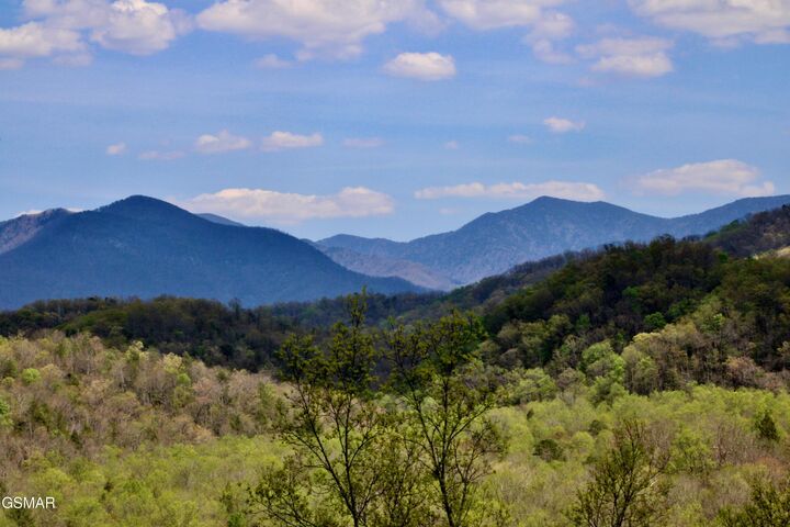 Property Photo:  224 Woodland Road  TN 37738 