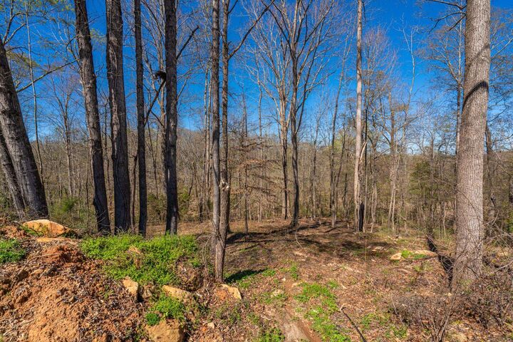 Property Photo:  6 Bagwell Place ***  SC 29302 