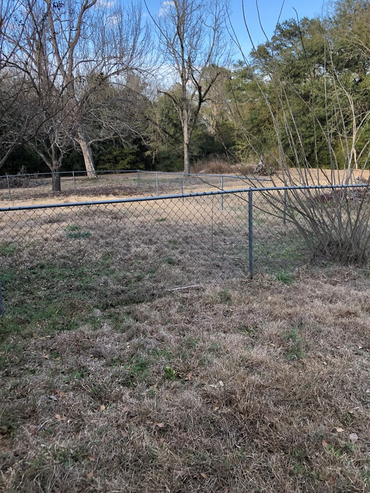 Property Photo:  181 Broad St  AL 36320 