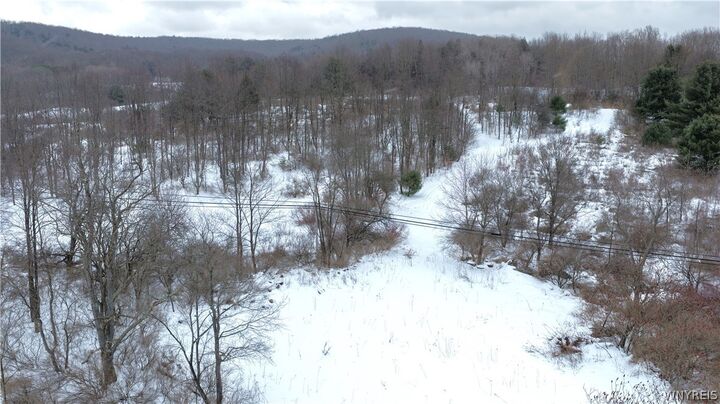 Property Photo:  Barker Run Road  NY 14741 
