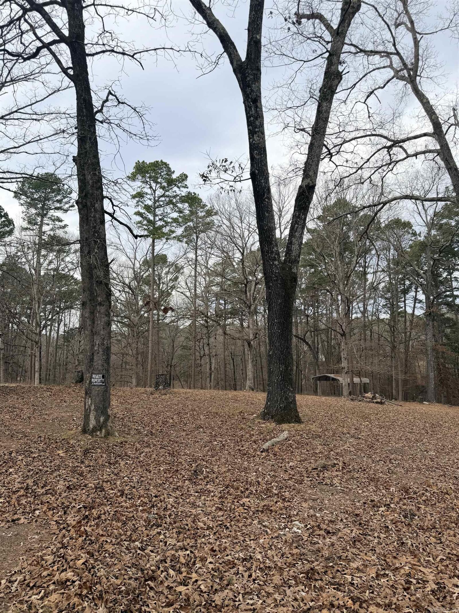 Property Photo:  3991 McGee Road  AR 72019 