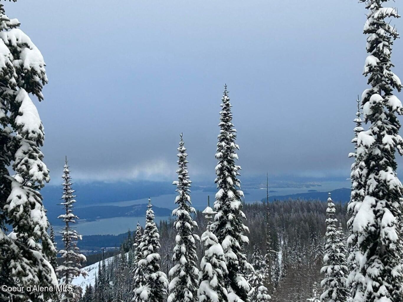 Property Photo:  L3 B2 Tall Timber  ID 83864 