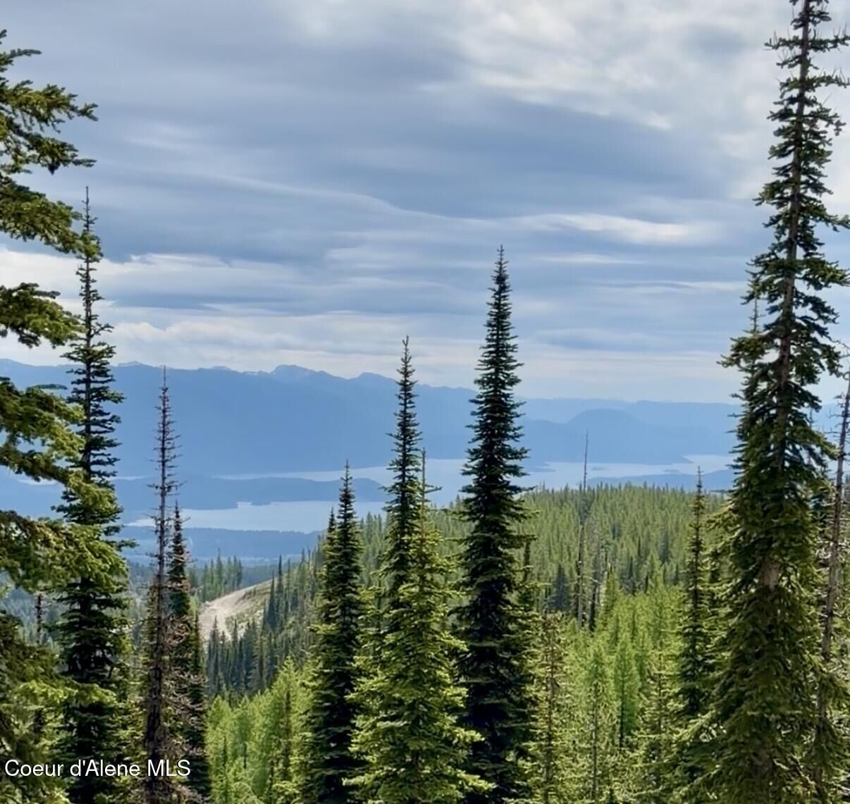 Property Photo: L3 B2 Tall Timber ID 83864