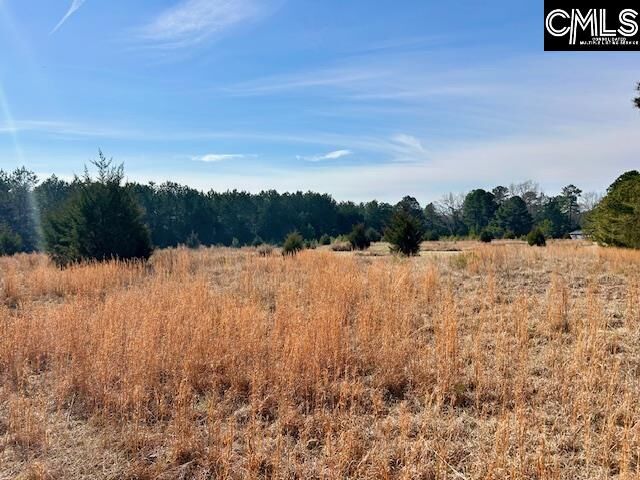 Property Photo:  159 Claude Counts  SC 29127 