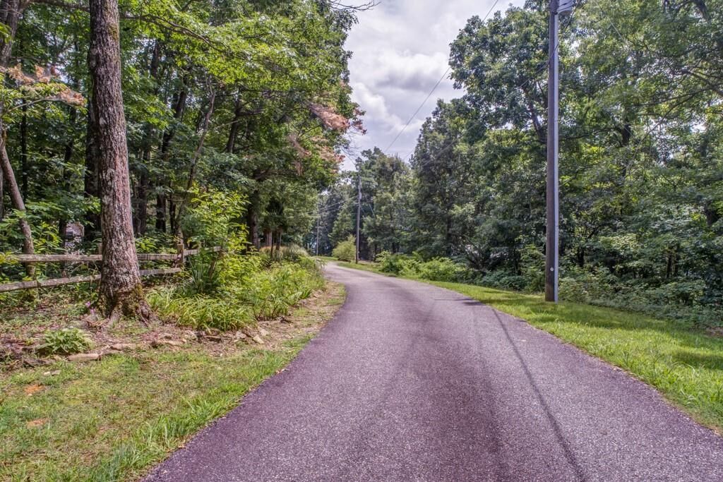 Property Photo:  00 Burnt Mountain Ridge Road  GA 30143 