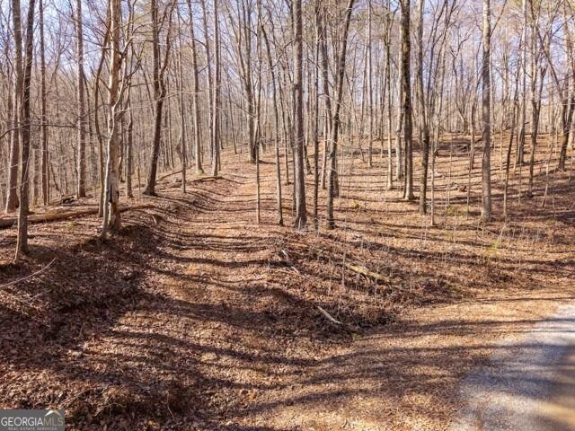 Property Photo:  1110 Mayfield Lane  GA 30734 