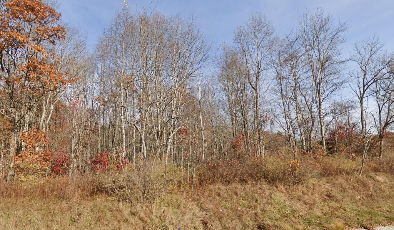 Property Photo:  Morris Branch Road  WV 25976 