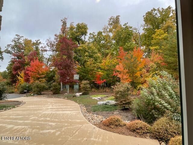 Property Photo:  61 Bluff View Court  TN 38558 