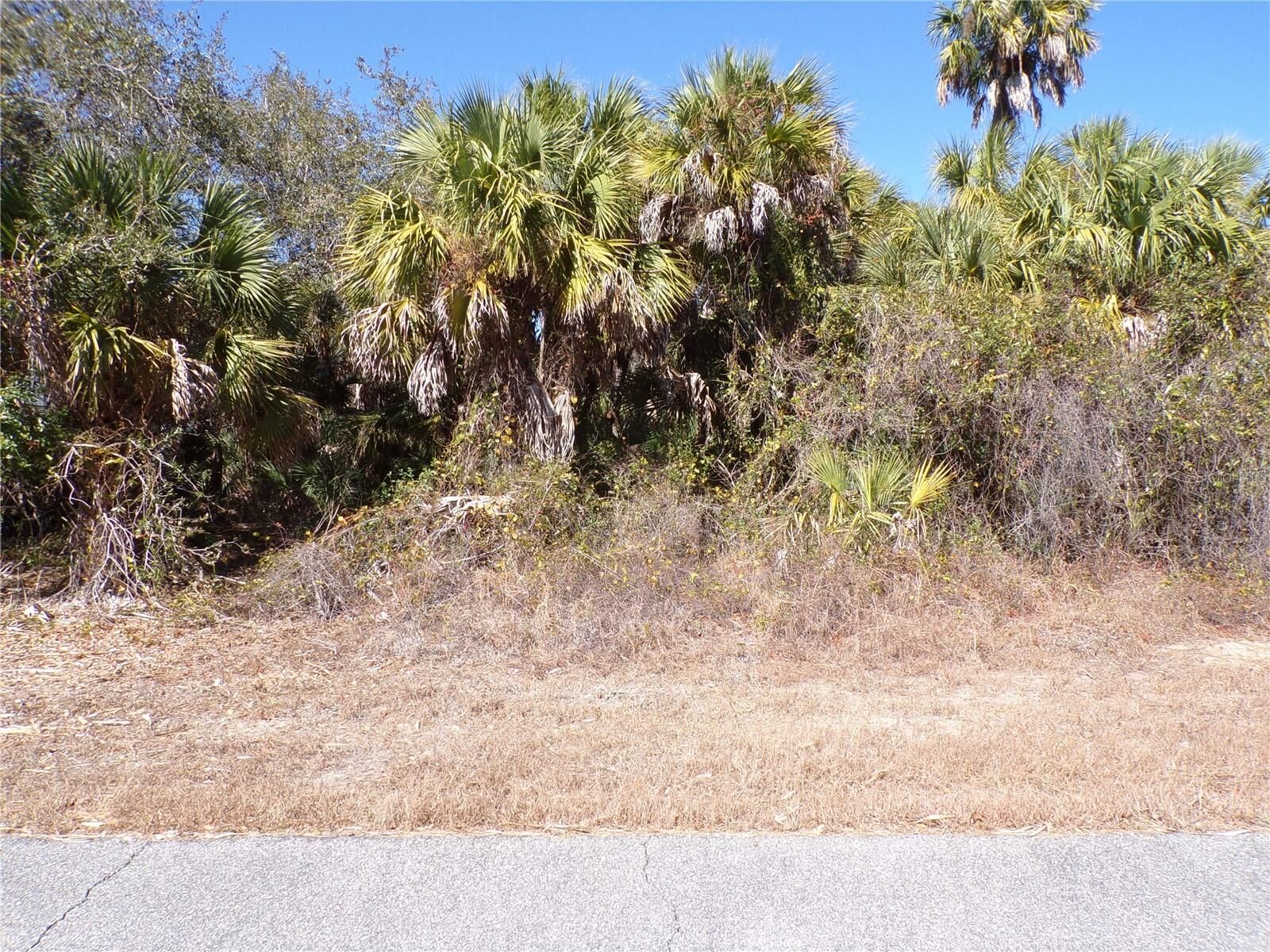 Property Photo:  Las Almanos Avenue  FL 34288 