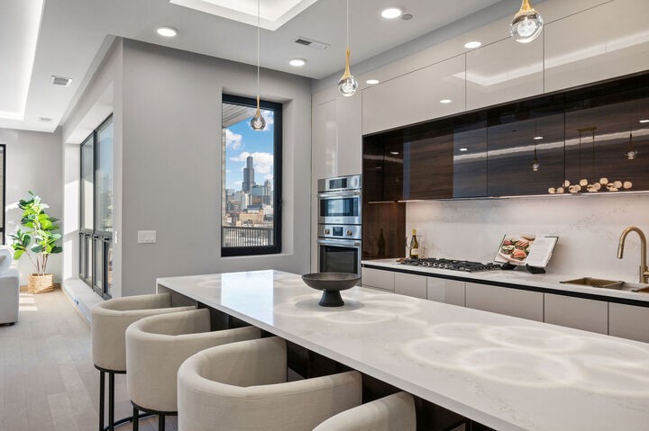 Property Photo:  466 N Paulina Street 203  IL 60622 