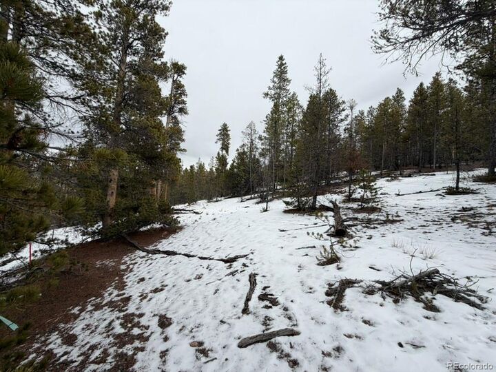 Property Photo:  124 Lodgepole Drive  CO 81251 