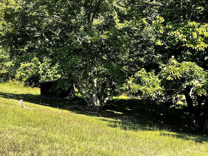 Property Photo:  0 Meadowbrook Rd  KY 41101 