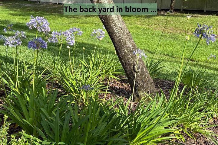 Property Photo: 96018 Woodmere Way FL 32034