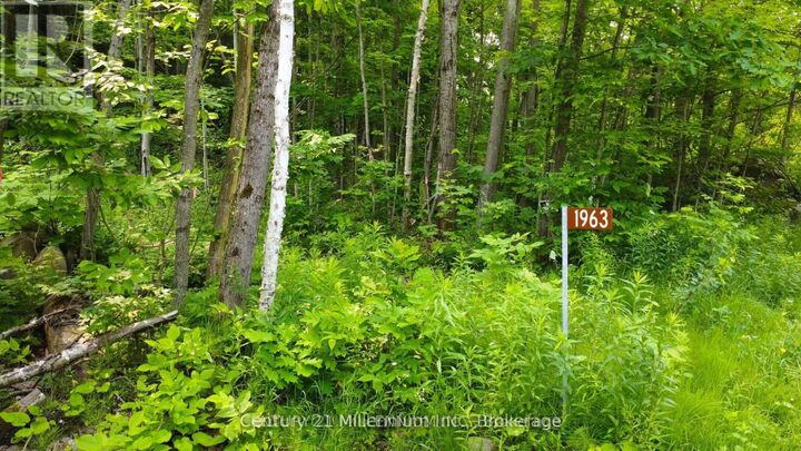 Property Photo:  Lot 52 Tiny Beaches Road North  ON L9M 0H8 