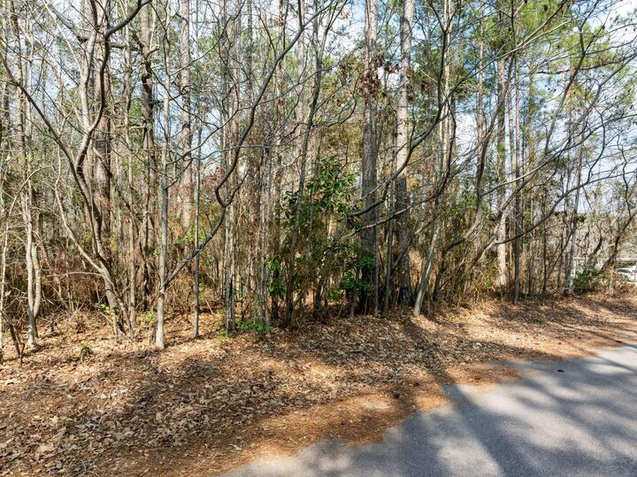 Property Photo: 00 Lynell Loop MS 39402