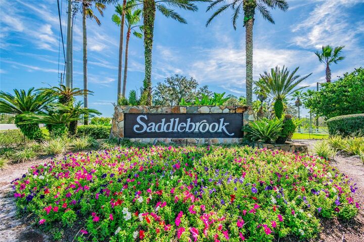 Property Photo: 29244 Whipporwill Lane FL 33543