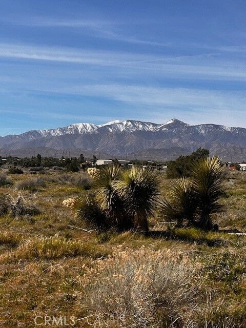 Property Photo:  0 Phelan  CA 92371 