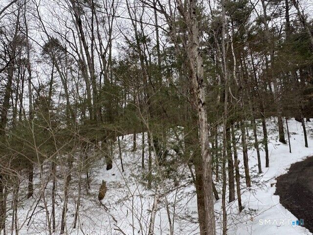 Property Photo: 52 Shingle Mill Road CT 06092