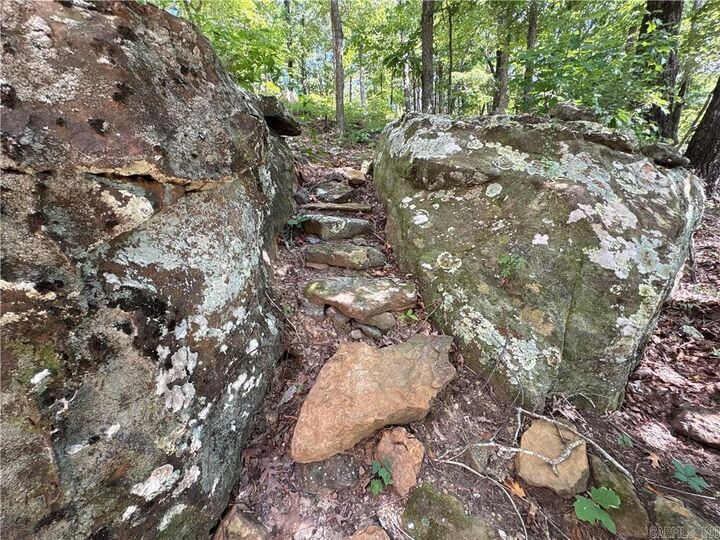 Property Photo:  556 Nc 6077  AR 72641 