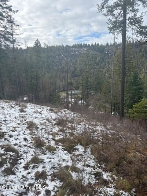 Property Photo: Nka S Hinds Dr Lots 10 &Amp 11 ID 83861