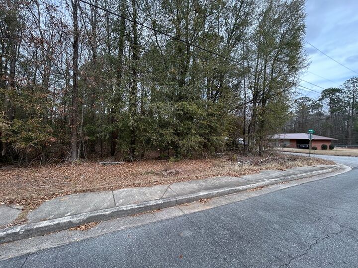 Property Photo: W Williams St GA 31063