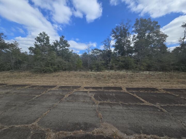 Property Photo: Tbd Hale Avenue FL 32428