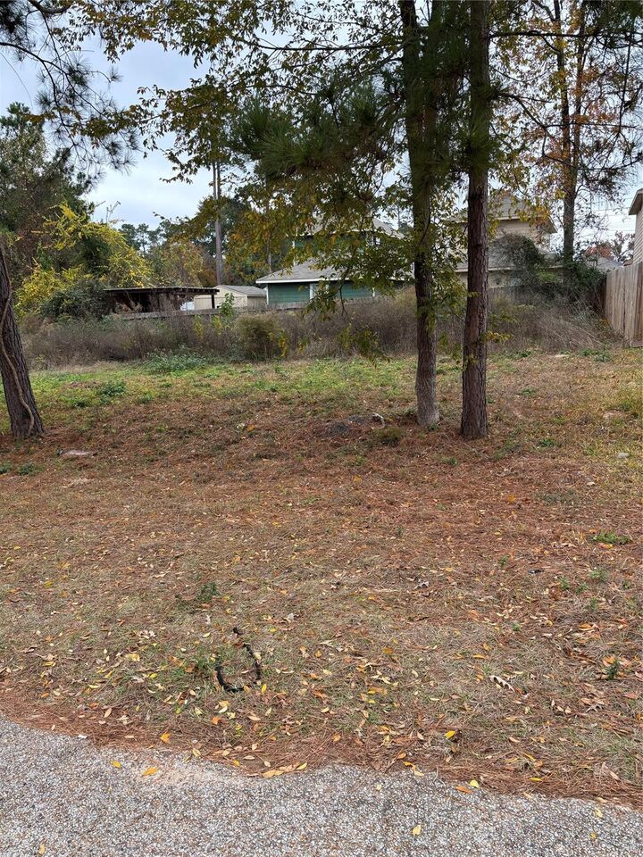 Property Photo:  16708 E Ivanhoe  TX 77316 