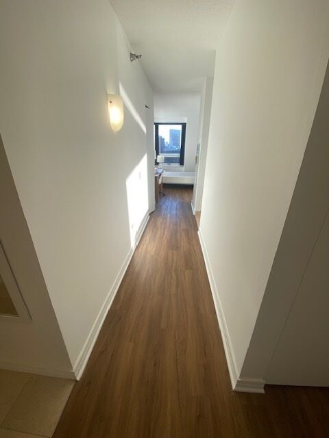 Property Photo: 512 N McClurg Court 4408 IL 60611