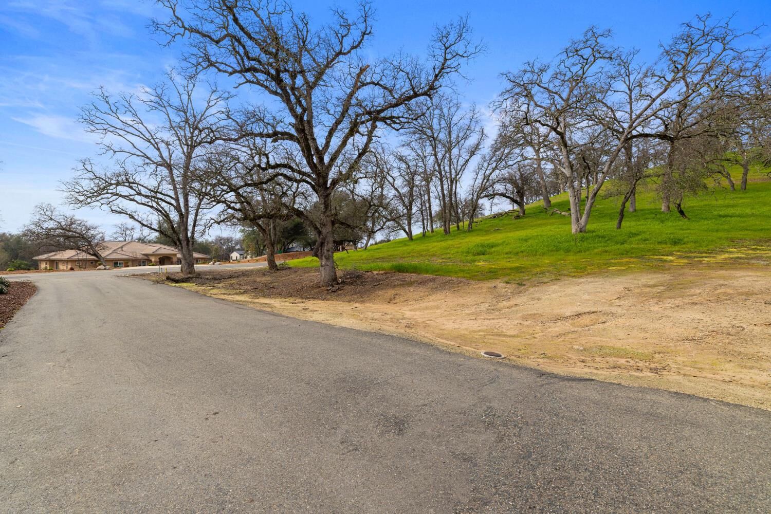 Property Photo:  1593 Camino Verdera  CA 95648 