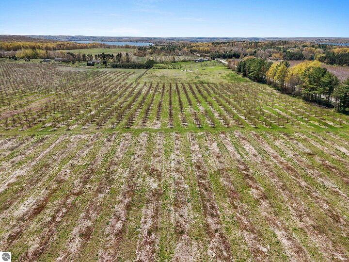 Property Photo: 12139 Chippewa Trail MI 49676