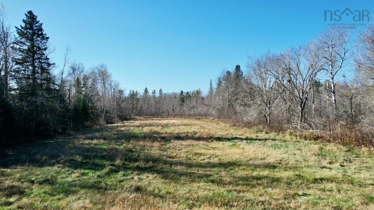 Property Photo:  Mount Pleasant Road  NS B0M 1P0 