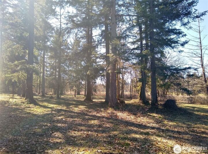 Property Photo:  17837  Sargent Road SW  WA 98579 