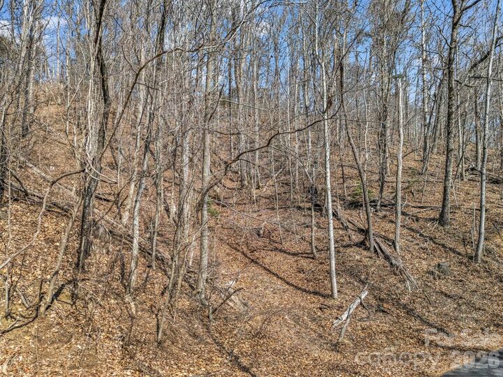 Property Photo: Lot #19 Hemlock Trail 19 NC 28722
