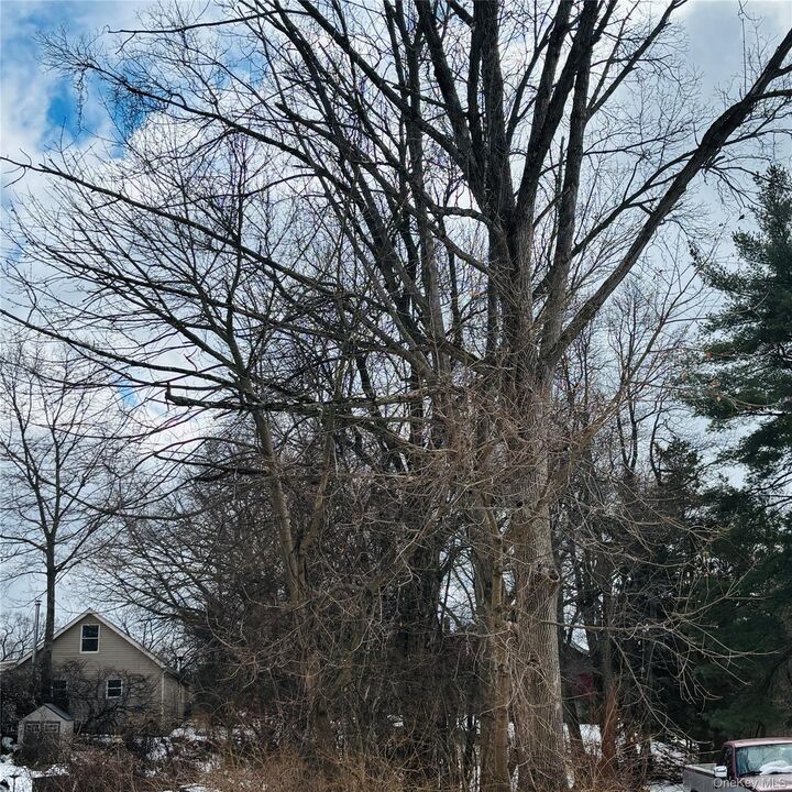 Property Photo:  Between 229 And 231 Westchester Avenue  NY 10511 